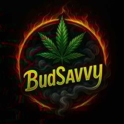 budsavvy logo